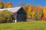 Autumn Barn_23582